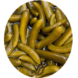 خیارشور نمکی فله